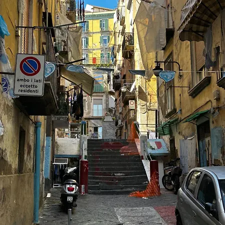 Nanninella Napoli